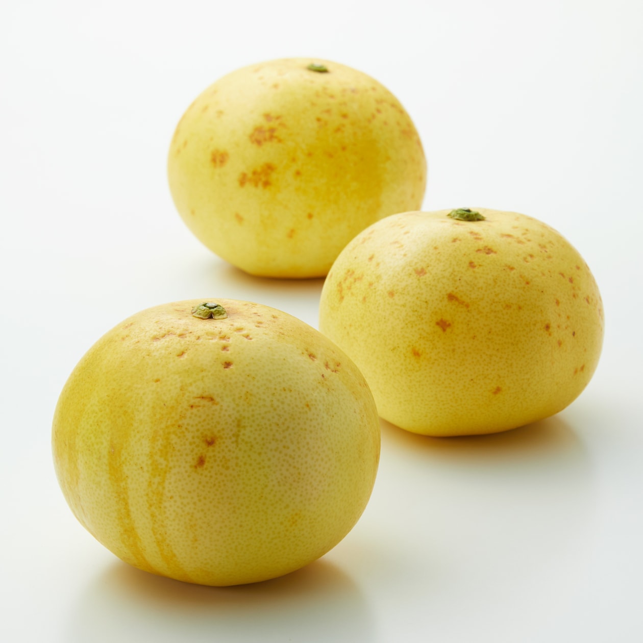 和歌山県産　早和果樹園春のかんきつ「早和の香」　約４ｋｇ