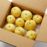 和歌山県産　早和果樹園春のかんきつ「早和の香」　約４ｋｇ