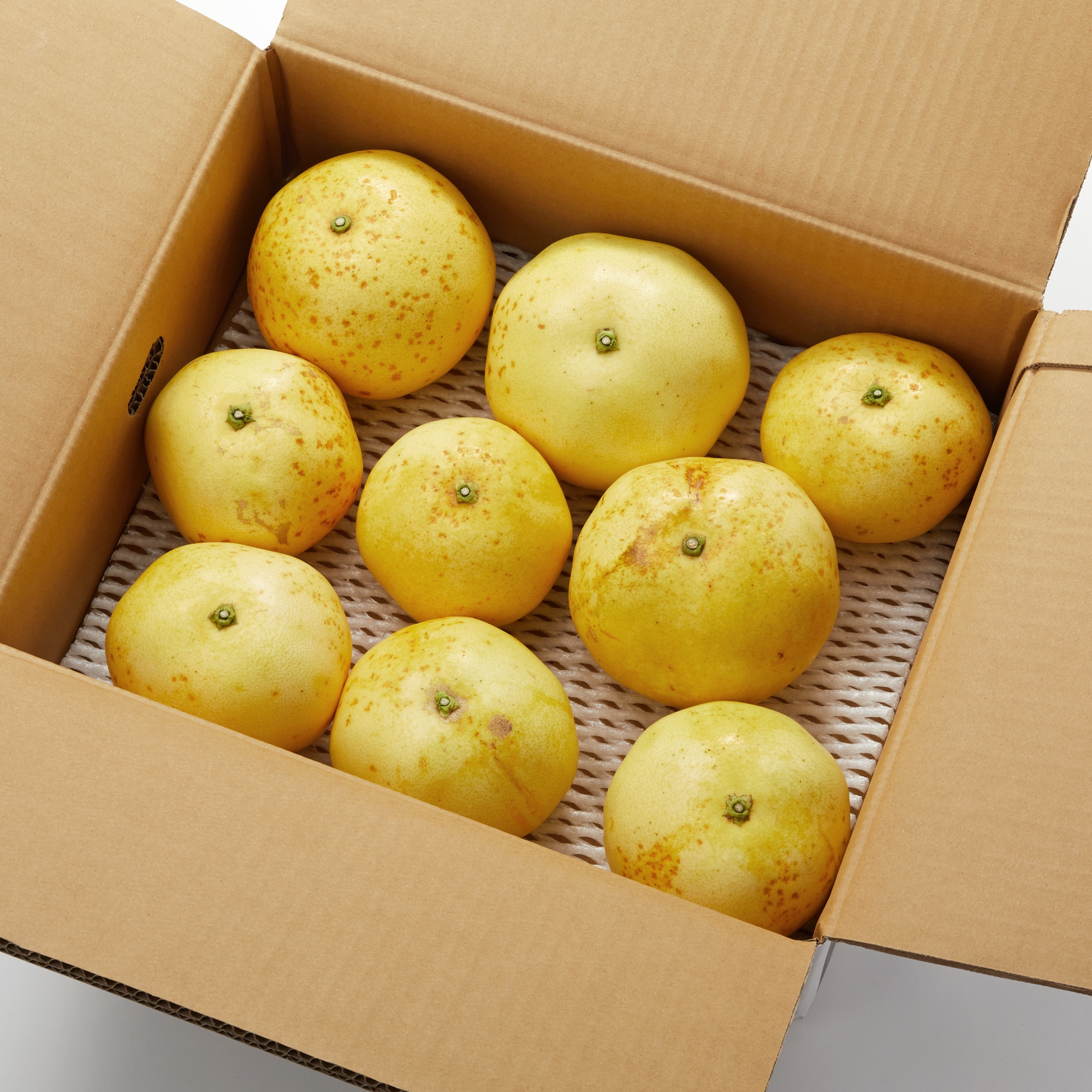 和歌山県産　早和果樹園春のかんきつ「早和の香」　約４ｋｇ