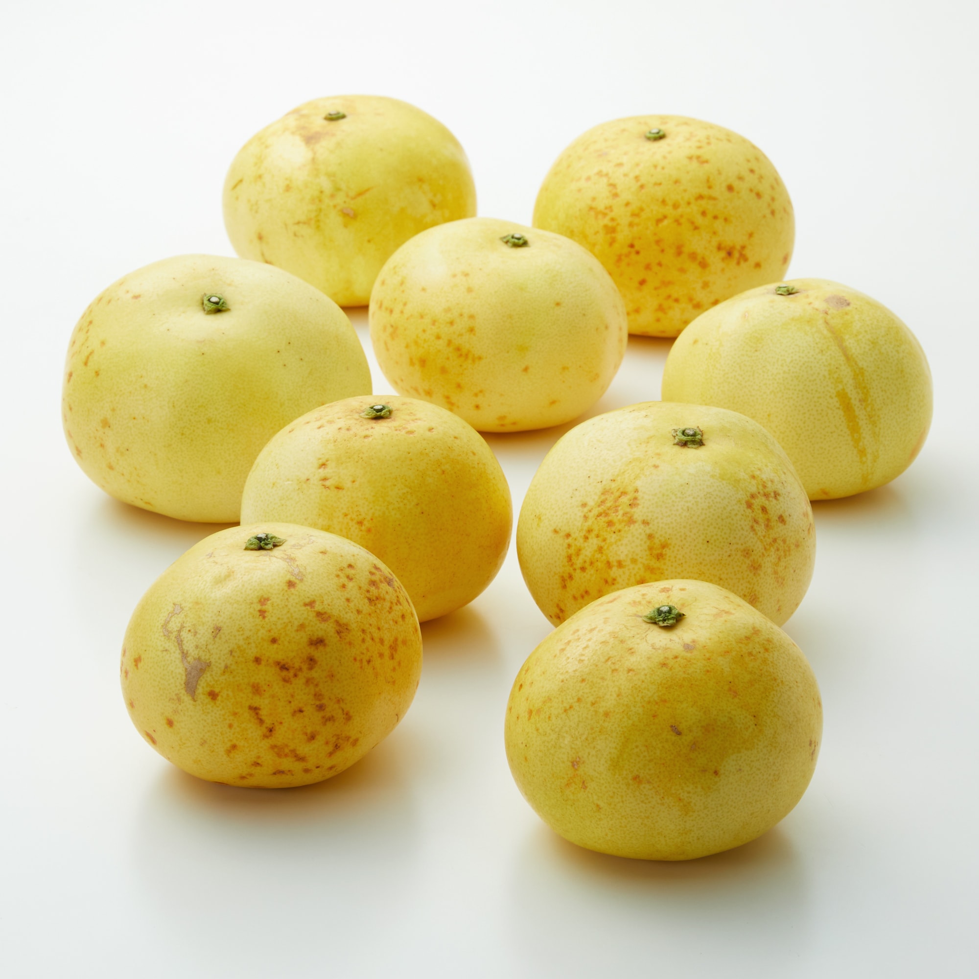 和歌山県産　早和果樹園春のかんきつ「早和の香」　約４ｋｇ