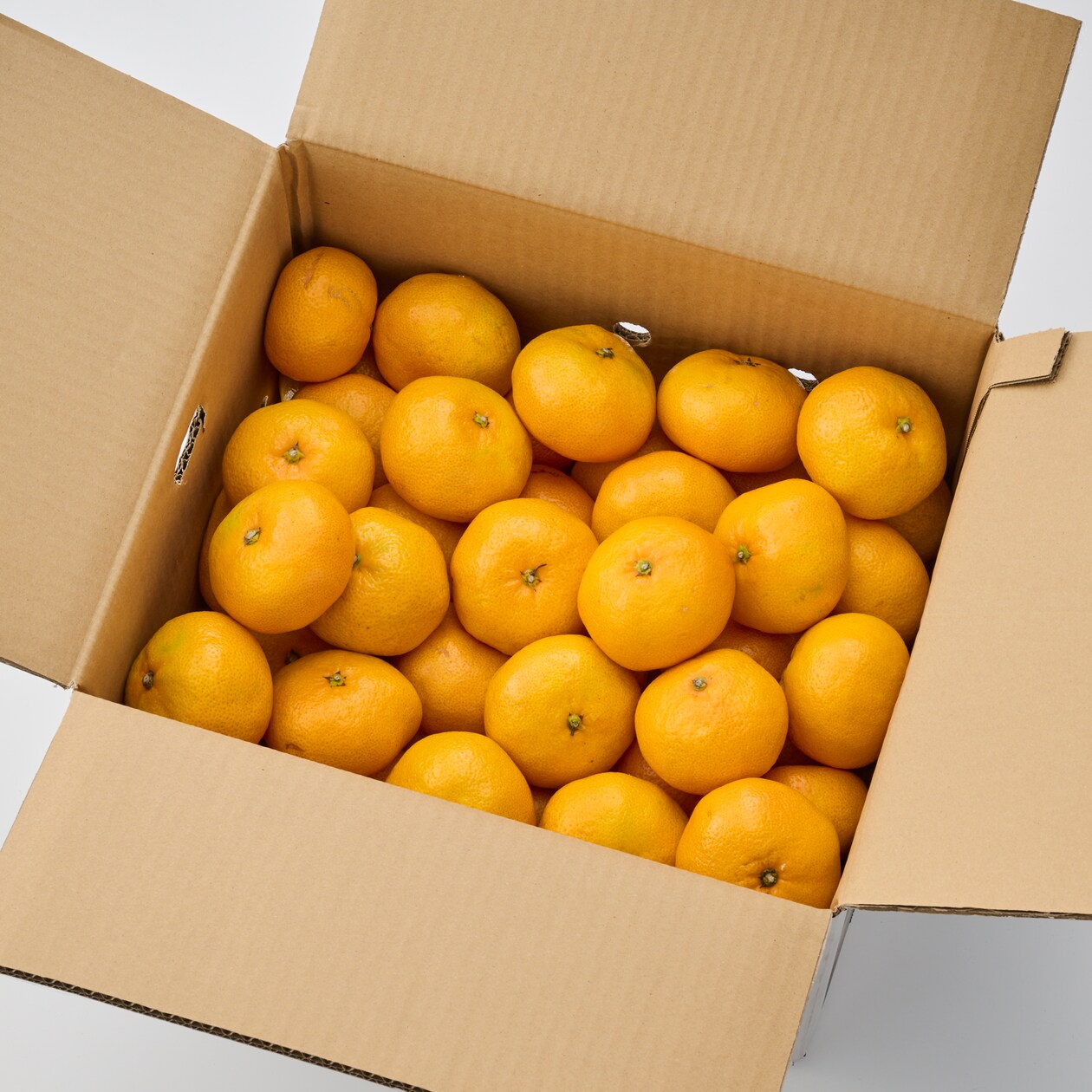 【送料込み】小林果園の温州みかん１０ｋｇ