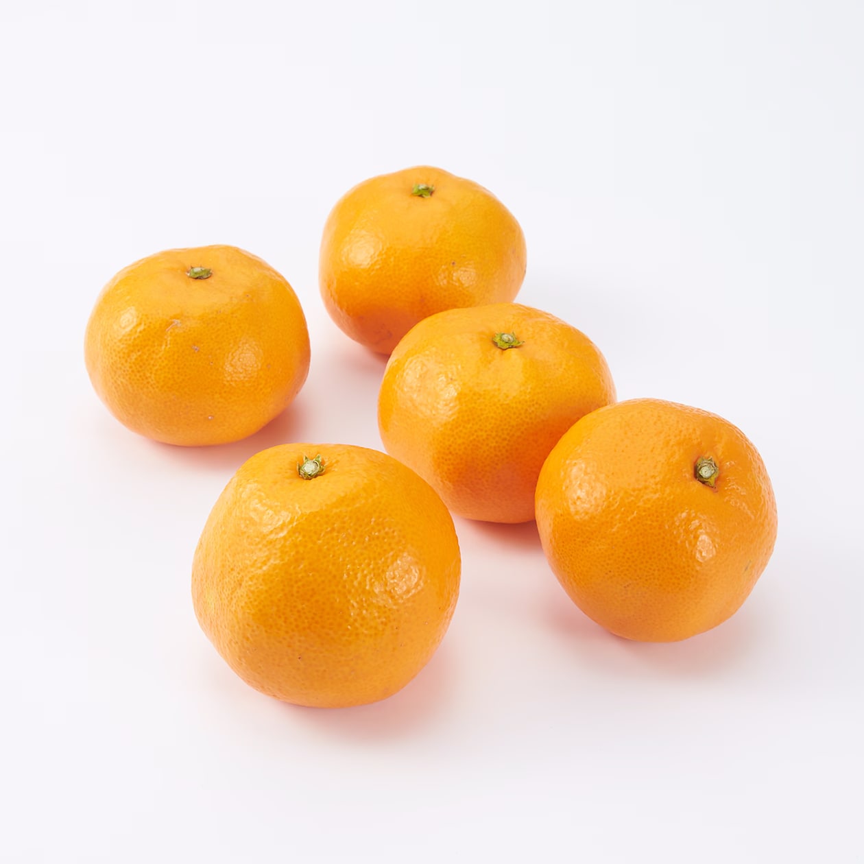 【送料込み】小林果園の温州みかん１０ｋｇ