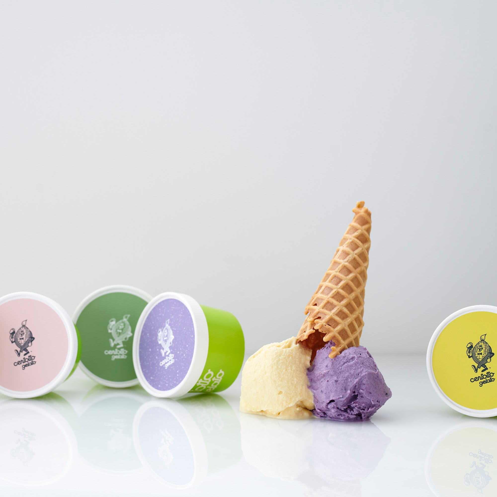 長野県上水内郡 centotto gelato ジェラート6種セット