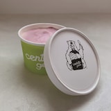 長野県上水内郡　ｃｅｎｔｏｔｔｏ　ｇｅｌａｔｏ　ジェラート１２種セット