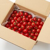 島根県産　アグリプラント甲斐の木のフルーツトマト「笑ちゃんトマト」約１ｋｇ