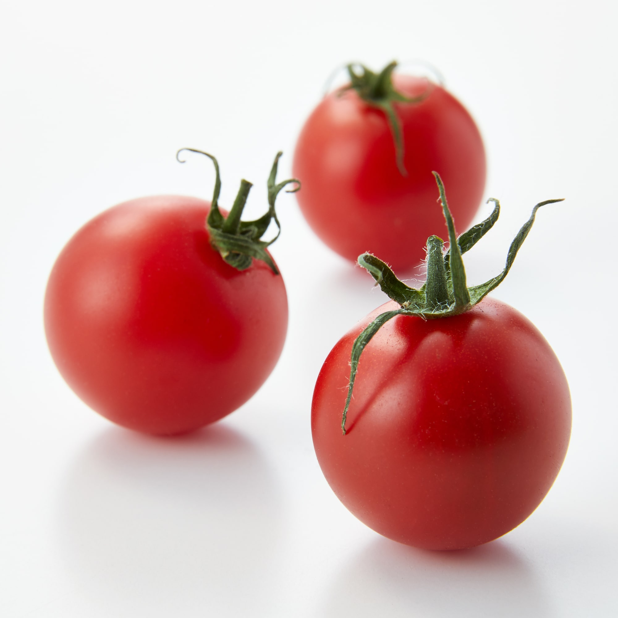 島根県産 アグリプラント甲斐の木のフルーツトマト「笑ちゃんトマト