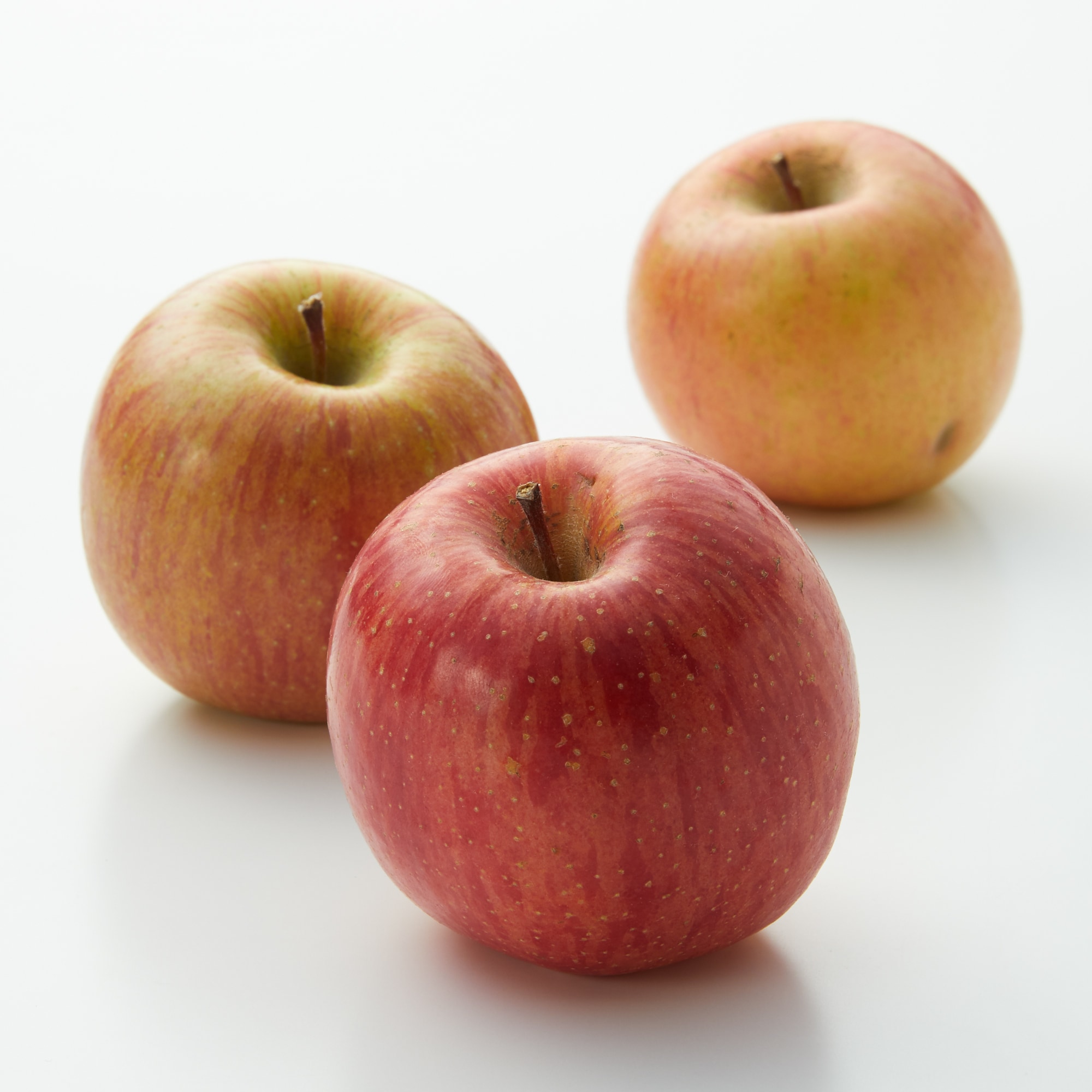 秋田県　さとう果樹園　葉とらずふじ　（調理・加工用）　３ｋｇ