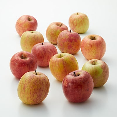 秋田県　さとう果樹園　葉とらずふじ　（調理・加工用）　３ｋｇ