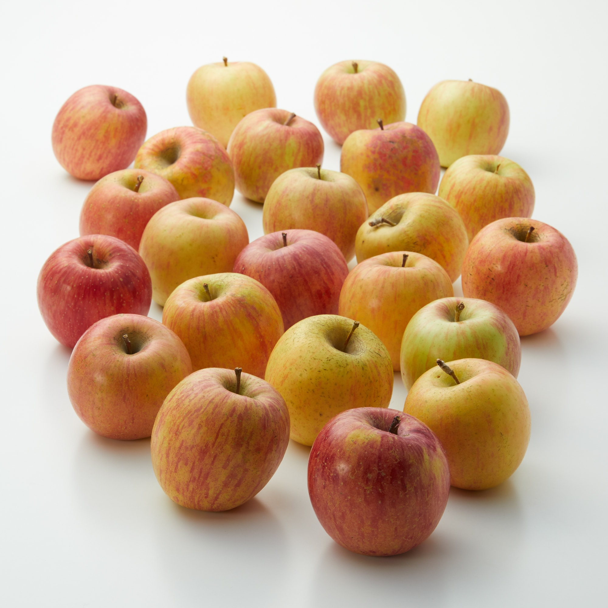 秋田県　さとう果樹園　葉とらずふじ　（調理・加工用）　５ｋｇ