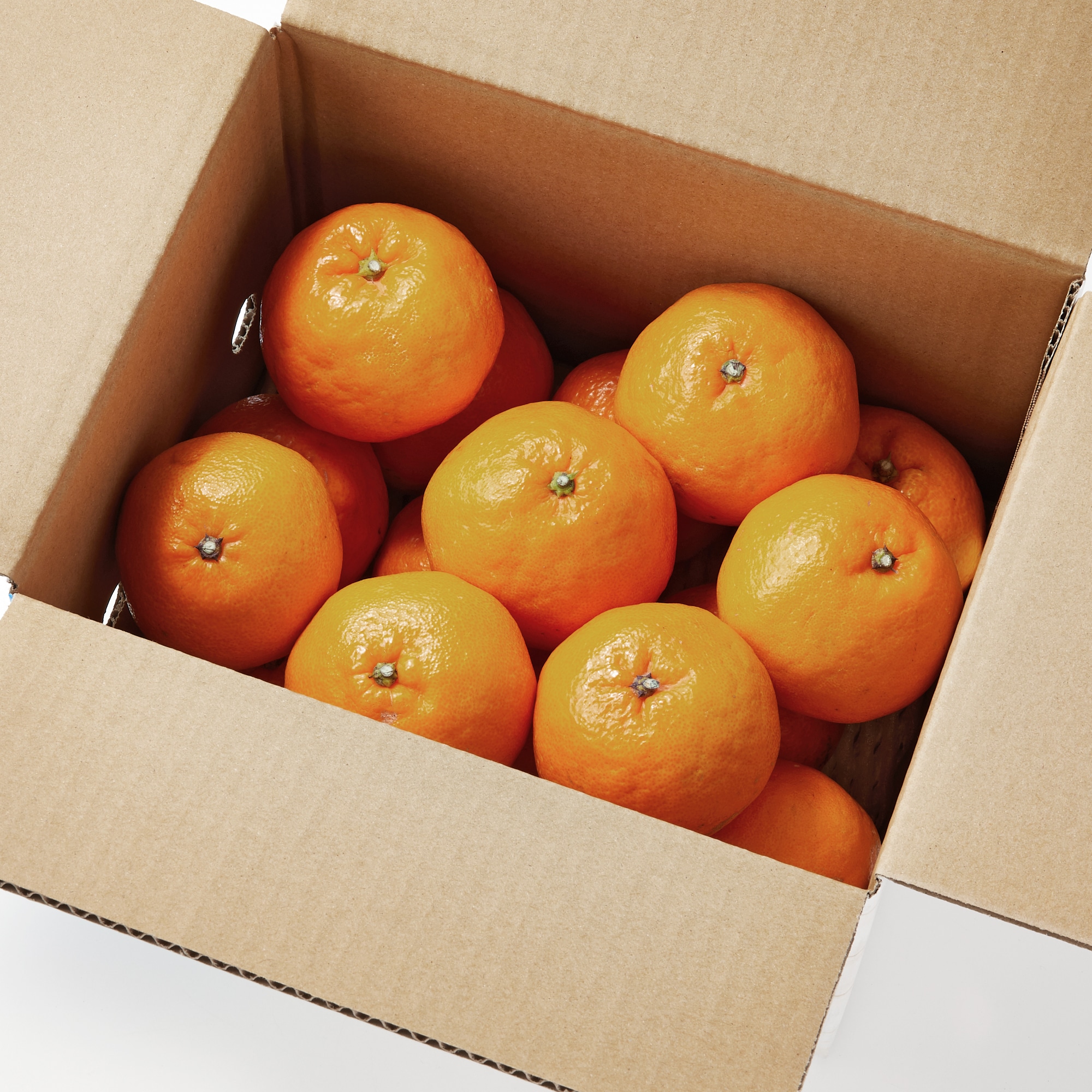 愛媛県西宇和産「はるみ」家庭用サイズ混合・約２．５ｋｇ