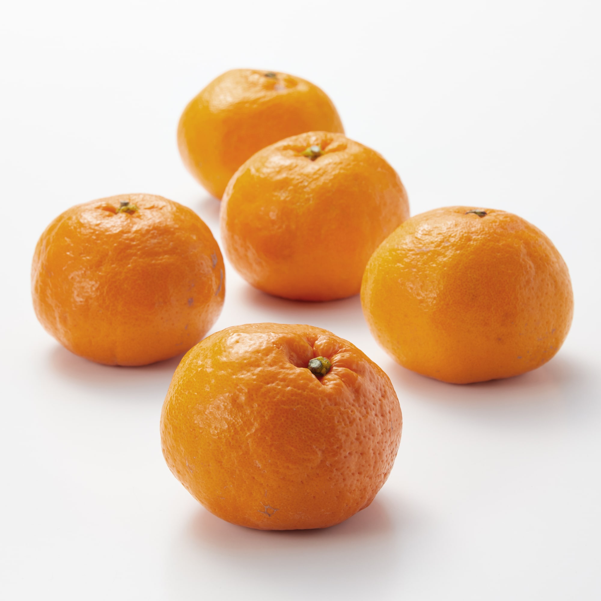 愛媛県西宇和産「はるみ」家庭用サイズ混合・約２．５ｋｇ