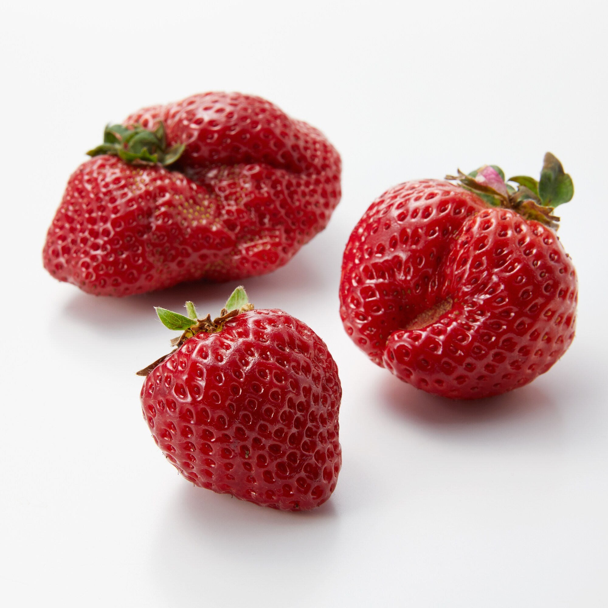 福岡県産　伊世いちご畑の「あまおう」加工用　約８００ｇ　※有機ＪＡＳ認証