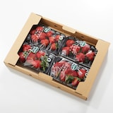 福岡県産　伊世いちご畑の「あまおう」加工用　約８００ｇ　※有機ＪＡＳ認証