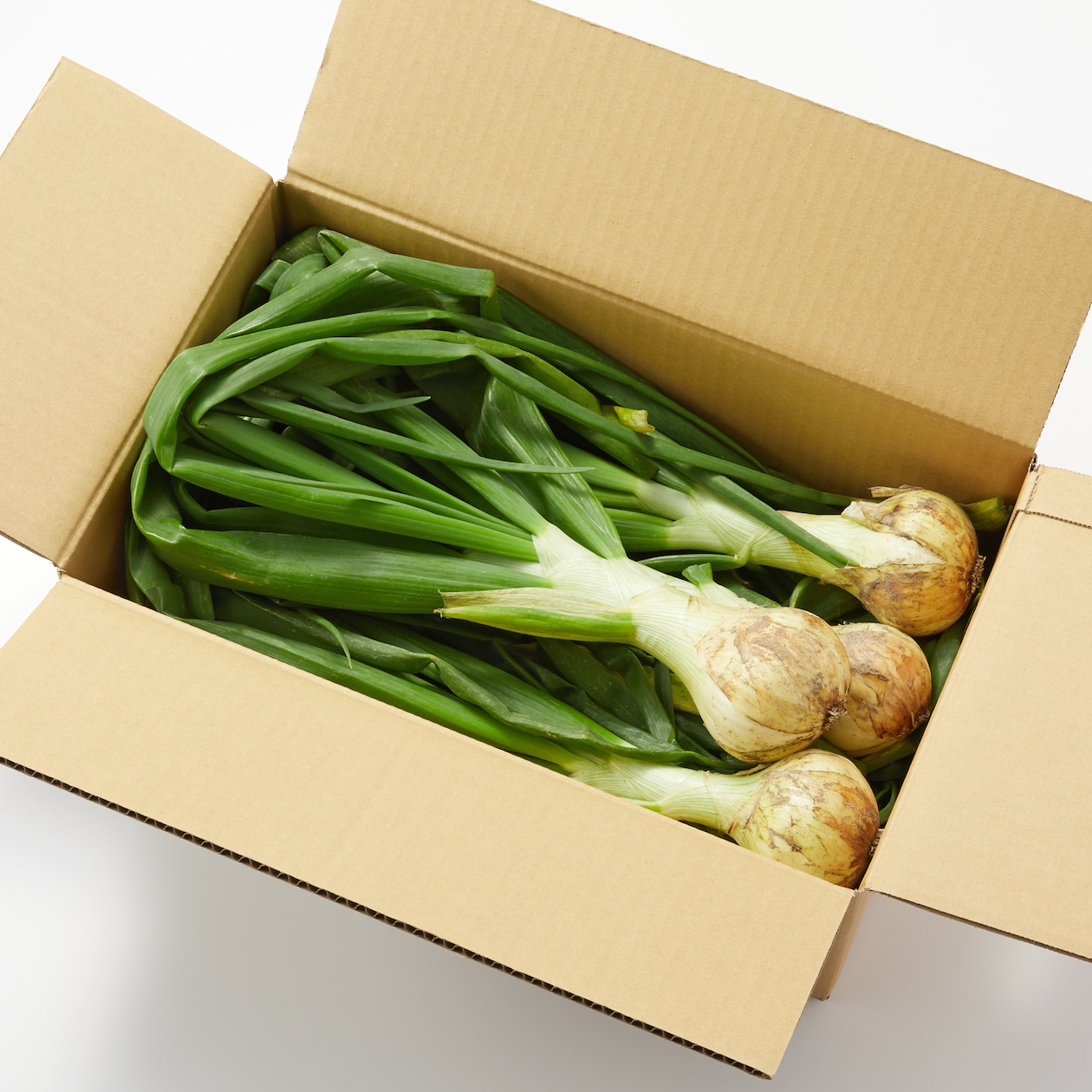 兵庫県淡路島産　花岡農恵園の自然栽培「葉付きたまねぎ」　小玉サイズ　約２ｋｇ