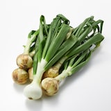 兵庫県淡路島産　花岡農恵園の自然栽培「葉付きたまねぎ」　小玉サイズ　約２ｋｇ