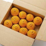 熊本県　天草農工房ふぁお　「不知火」５ｋｇ・家庭用