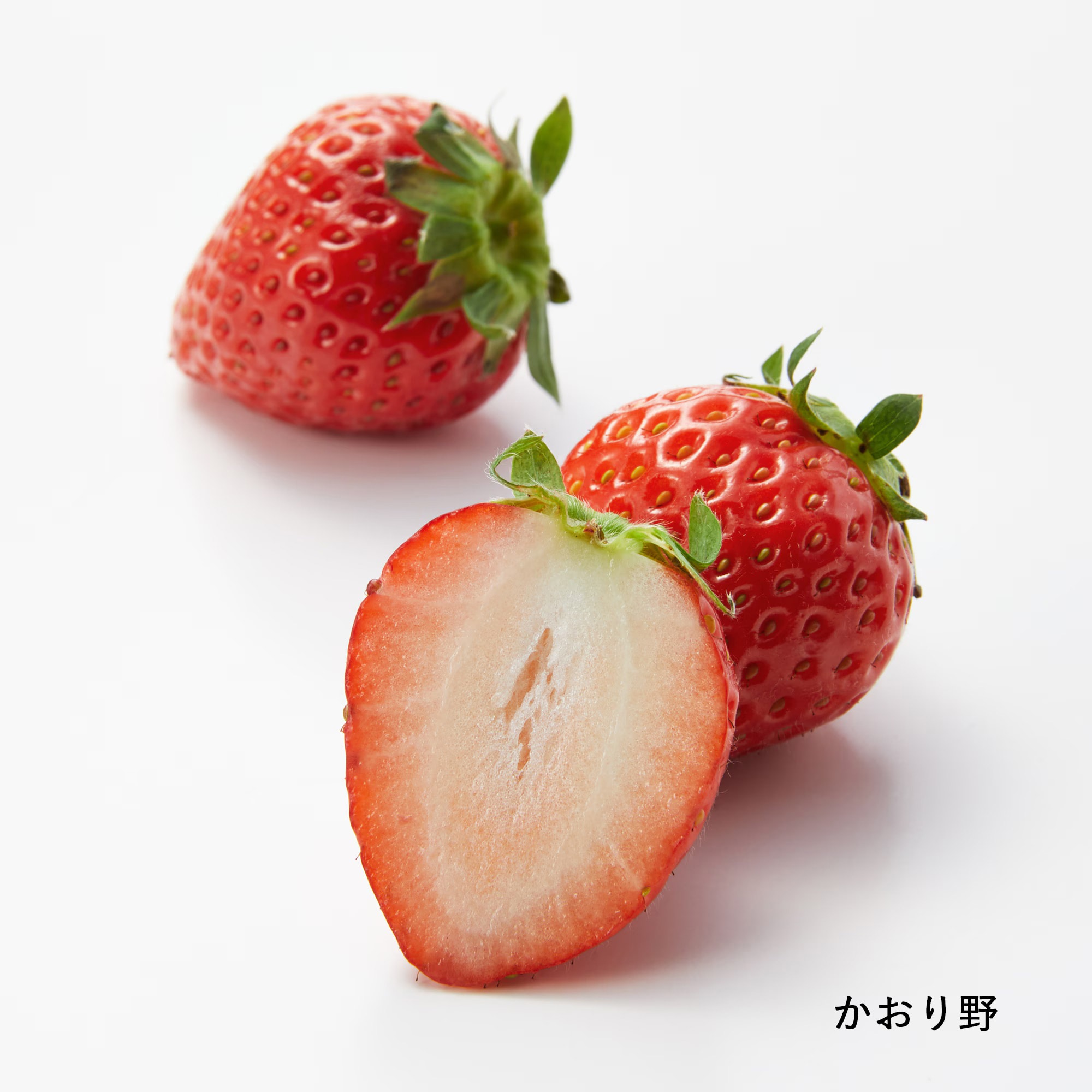 千葉県産　ユカルヒ農園のいちご「チーバベリー＆お任せ品種（２～３種）」約４6０ｇ