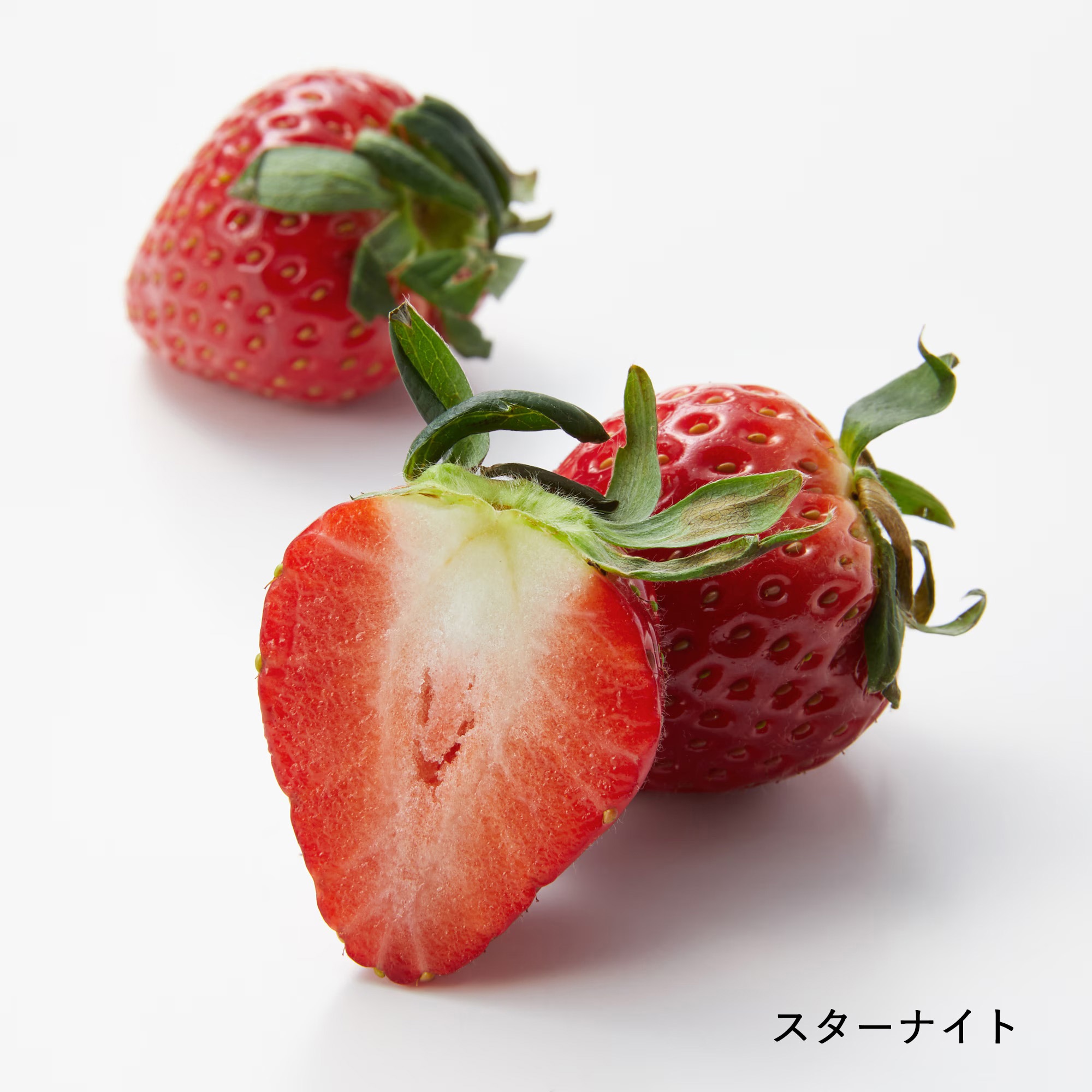 千葉県産　ユカルヒ農園のいちご「チーバベリー＆お任せ品種（２～３種）」約４6０ｇ