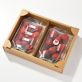 千葉県産　ユカルヒ農園のいちご「チーバベリー＆お任せ品種（２～３種）」約４6０ｇ