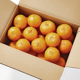 長崎県産　川口農園の「ポンカン」約３ｋｇ