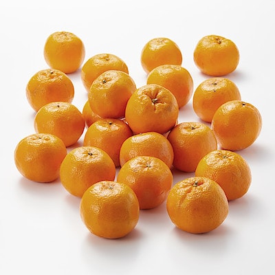 長崎県産　川口農園の「ポンカン」約３ｋｇ