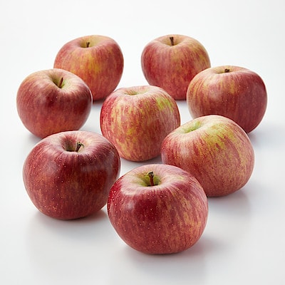 福島県産　鈴木農園のりんご 「サンふじ」　家庭用・約５ｋｇ