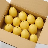 愛媛県産　無茶々園の「弓削ひょう柑」　約３ｋｇ