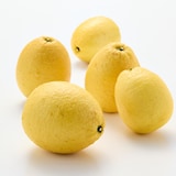 愛媛県産　無茶々園の「弓削ひょう柑」　約３ｋｇ