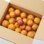 愛媛県産　無茶々園の「ブラッドオレンジ」サイズ混合・約３ｋｇ