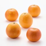 愛媛県産　無茶々園の「ブラッドオレンジ」サイズ混合・約３ｋｇ