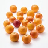 愛媛県産　無茶々園の「ブラッドオレンジ」サイズ混合・約３ｋｇ