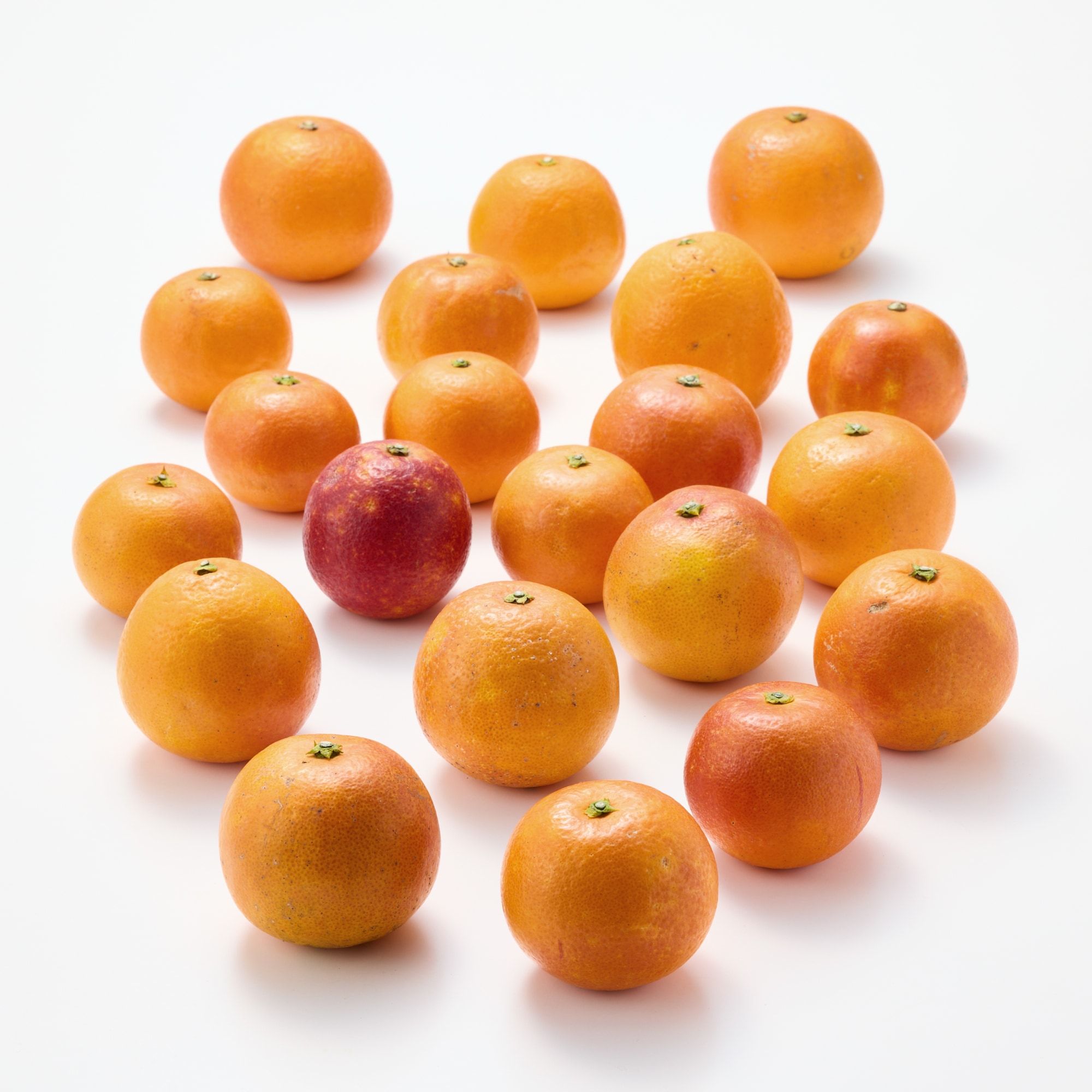 愛媛県産　無茶々園の「ブラッドオレンジ」サイズ混合・約３ｋｇ