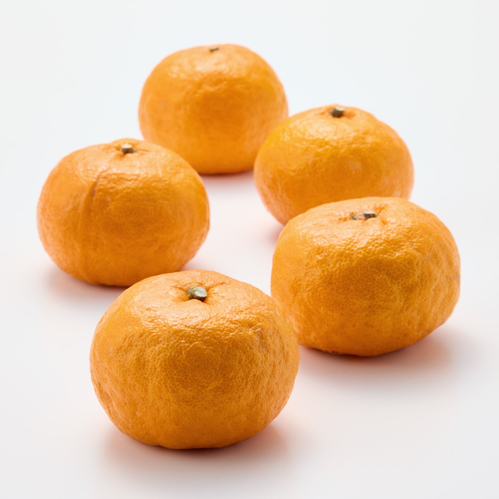 熊本河内産　うきこ農園のみかん「早香」 家庭用・約２ｋｇ