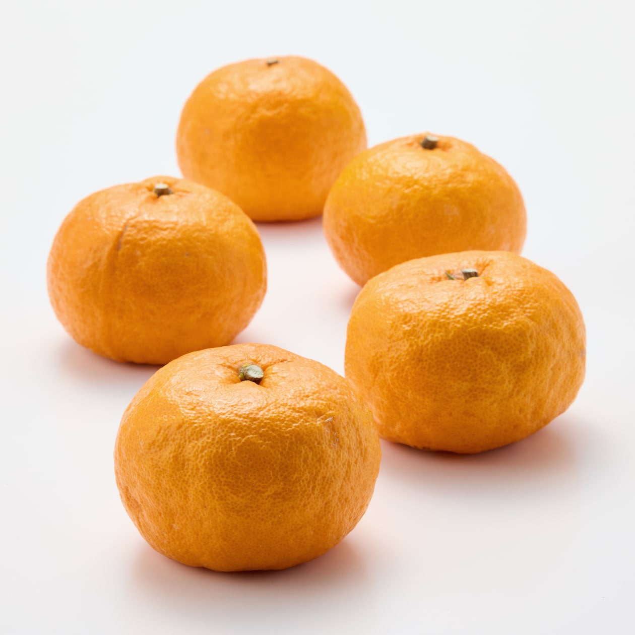 熊本河内産　うきこ農園のみかん「早香」 家庭用・約２ｋｇ