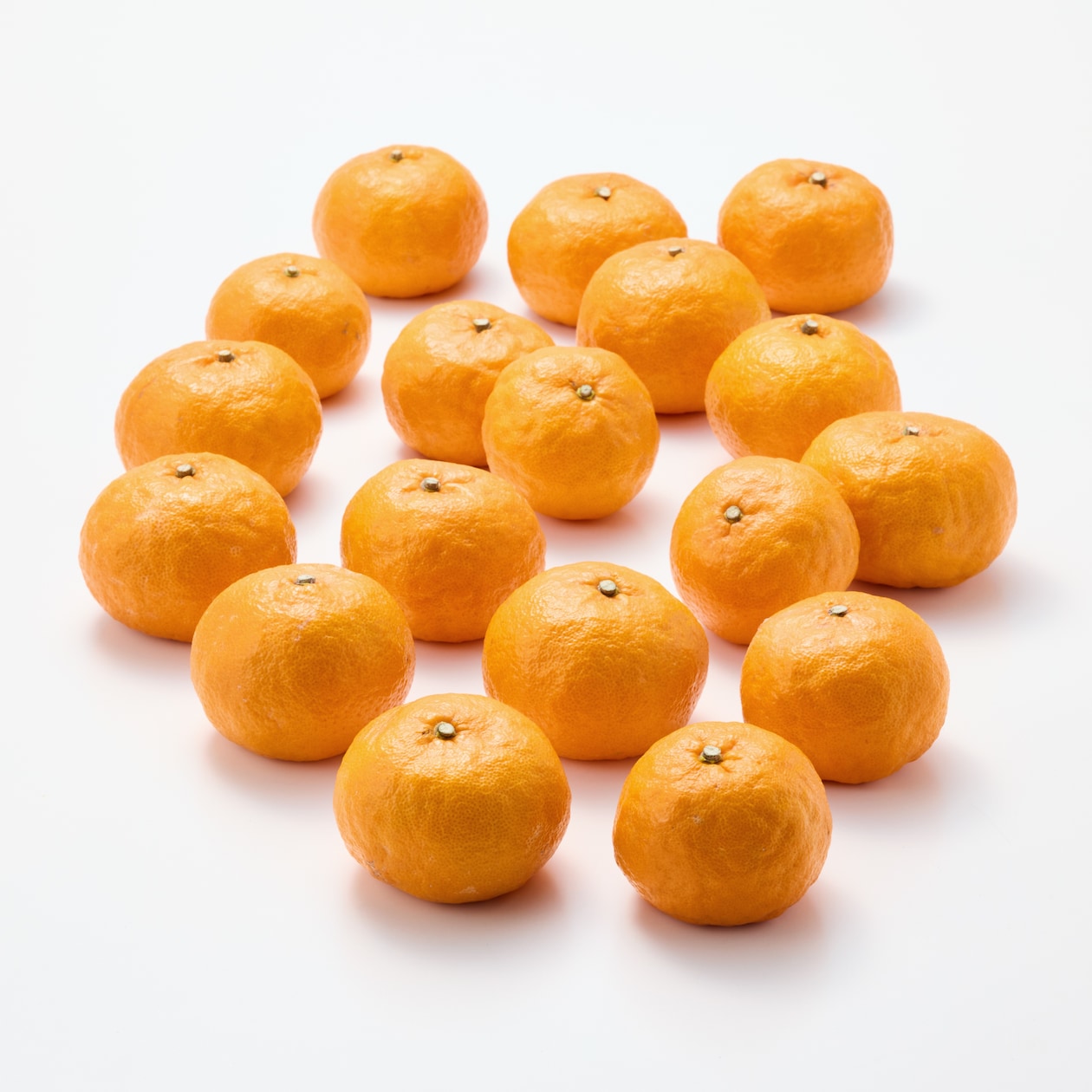 熊本河内産　うきこ農園のみかん「早香」 家庭用・約２ｋｇ