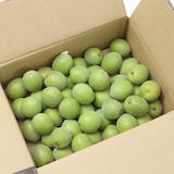 和歌山県産　和歌山県農業協同組合の「古城梅」１ｋｇ（M・L混合）