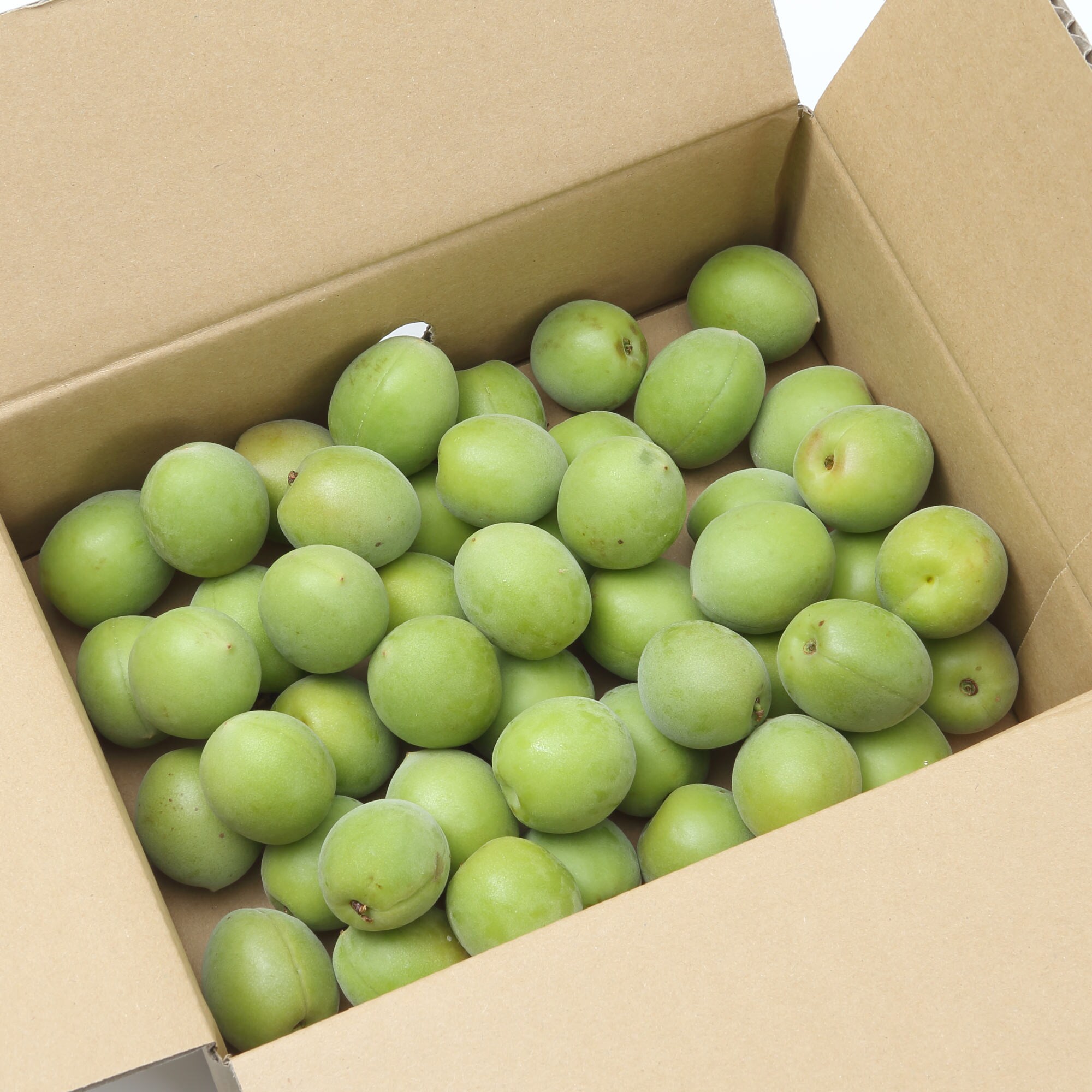 和歌山県産　和歌山県農業協同組合の「古城梅」１ｋｇ（M・L混合）