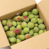 和歌山県産　和歌山県農業協同組合の有機栽培「南高梅」１ｋｇ（ M～３L混合）