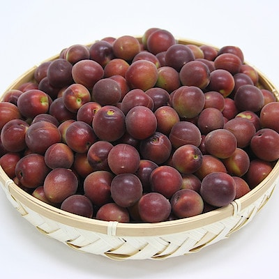 【小梅】和歌山県産　和歌山県農業協同組合の梅「パープルクィーン」１ｋｇ（L～２L混合）