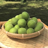 埼玉県産　山口農園の「白加賀梅」１ｋｇ（M～３L混合)