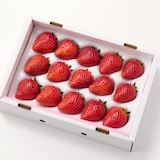 福島県産　松葉園のいちご「とちおとめ」　１２～１５玉