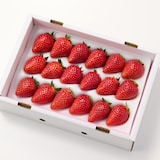 福島県産　松葉園のいちご「とちおとめ」　１８玉