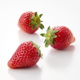 福島県産　松葉園のいちご「とちおとめ」　１８玉