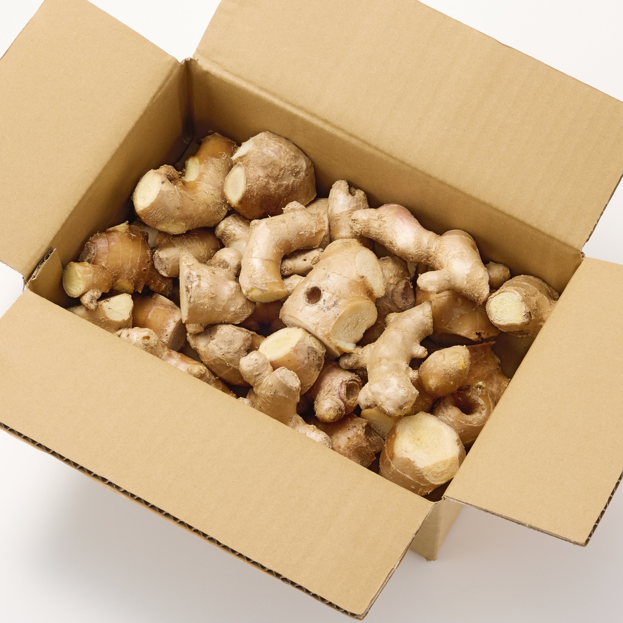 南九州産「黄金生姜」家庭用・約１ｋｇ