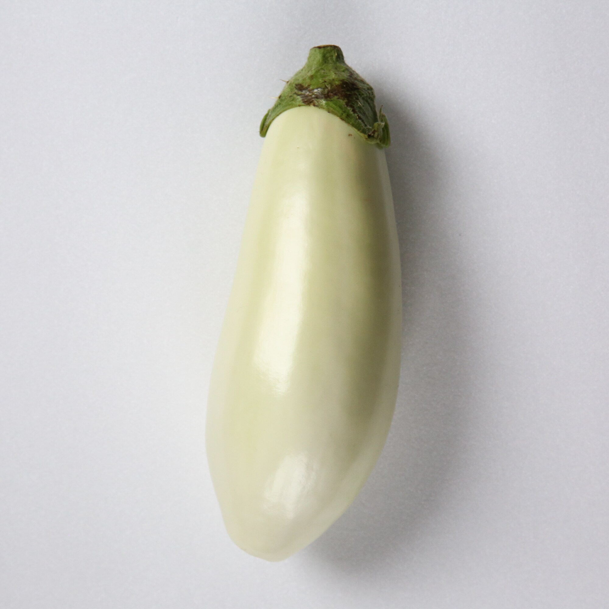 愛知県産　小清水農園の白なす「とろ～り旨なす」　約２ｋｇ