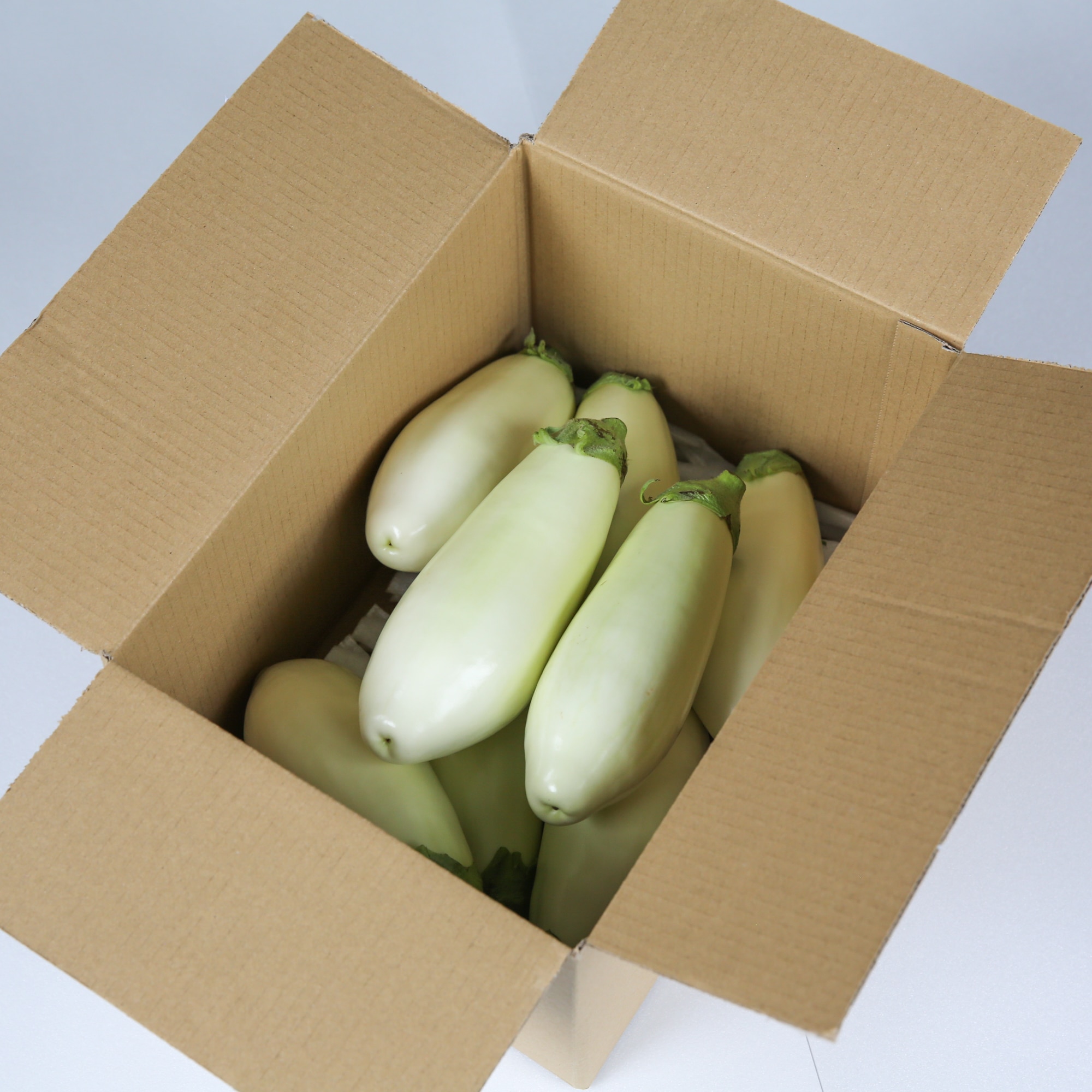 愛知県産　小清水農園の白なす「とろ～り旨なす」　約２ｋｇ