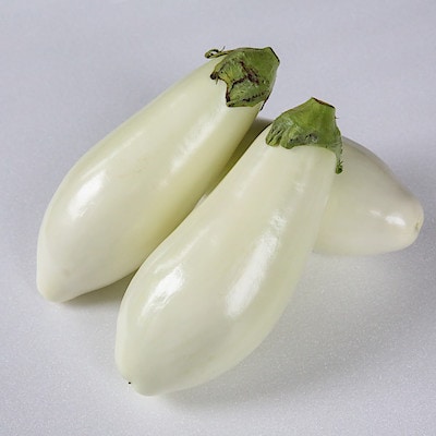 愛知県産　小清水農園の白なす「とろ～り旨なす」　約２ｋｇ