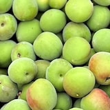 奈良県産　パンドラファームの梅「林州」１ｋｇ（Ｍ～２Ｌ）