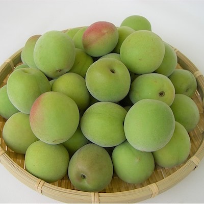 奈良県産　パンドラファームの梅「林州」１ｋｇ（Ｍ～２Ｌ）