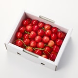 福島県産　大友農園の「さくらんぼ（早生種）」　家庭用（M～2Lサイズ混合）　５００ｇ